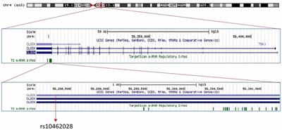 Financial Stress Interacts With CLOCK Gene to Affect Migraine